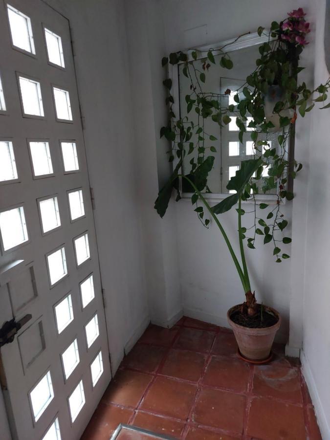 Tipo Loth Alameda Appartement *